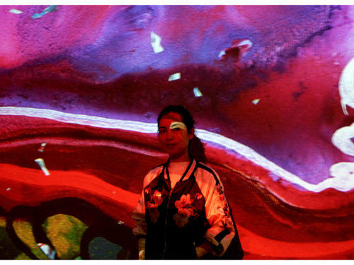 Shahzia Sikander – MAXXI